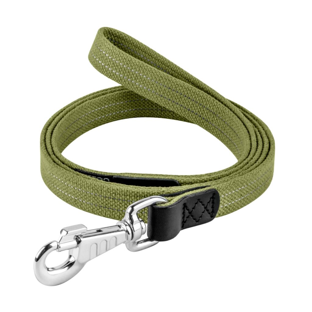 Waudog Classic  jalutusrihm roheline  200 cm
