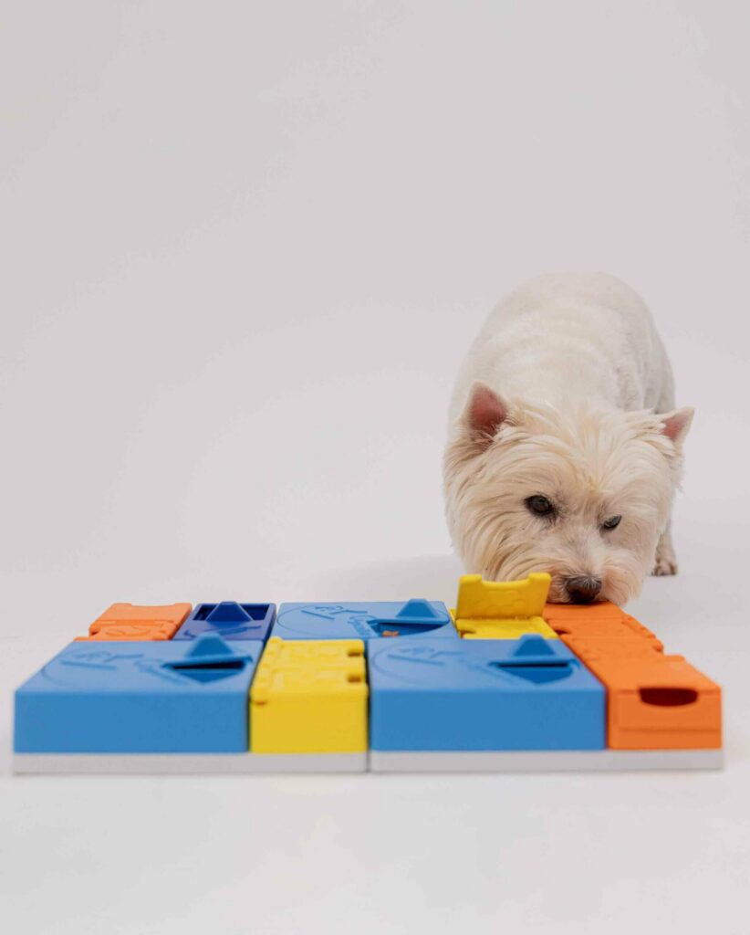 Pawzler Rainbow set