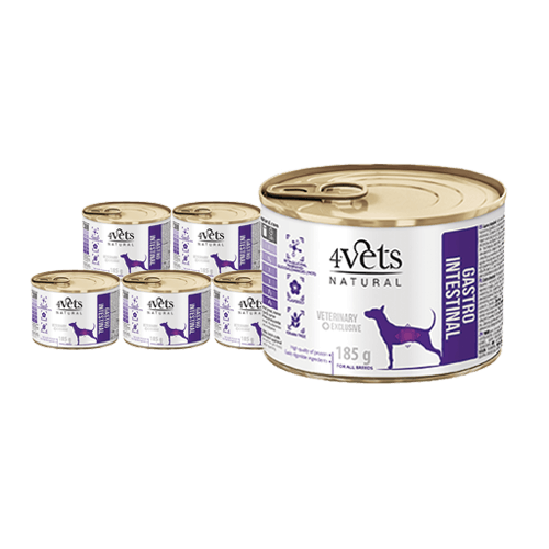 4Vets Natural eritoit koertele seedimise toetamiseks 6x185 g