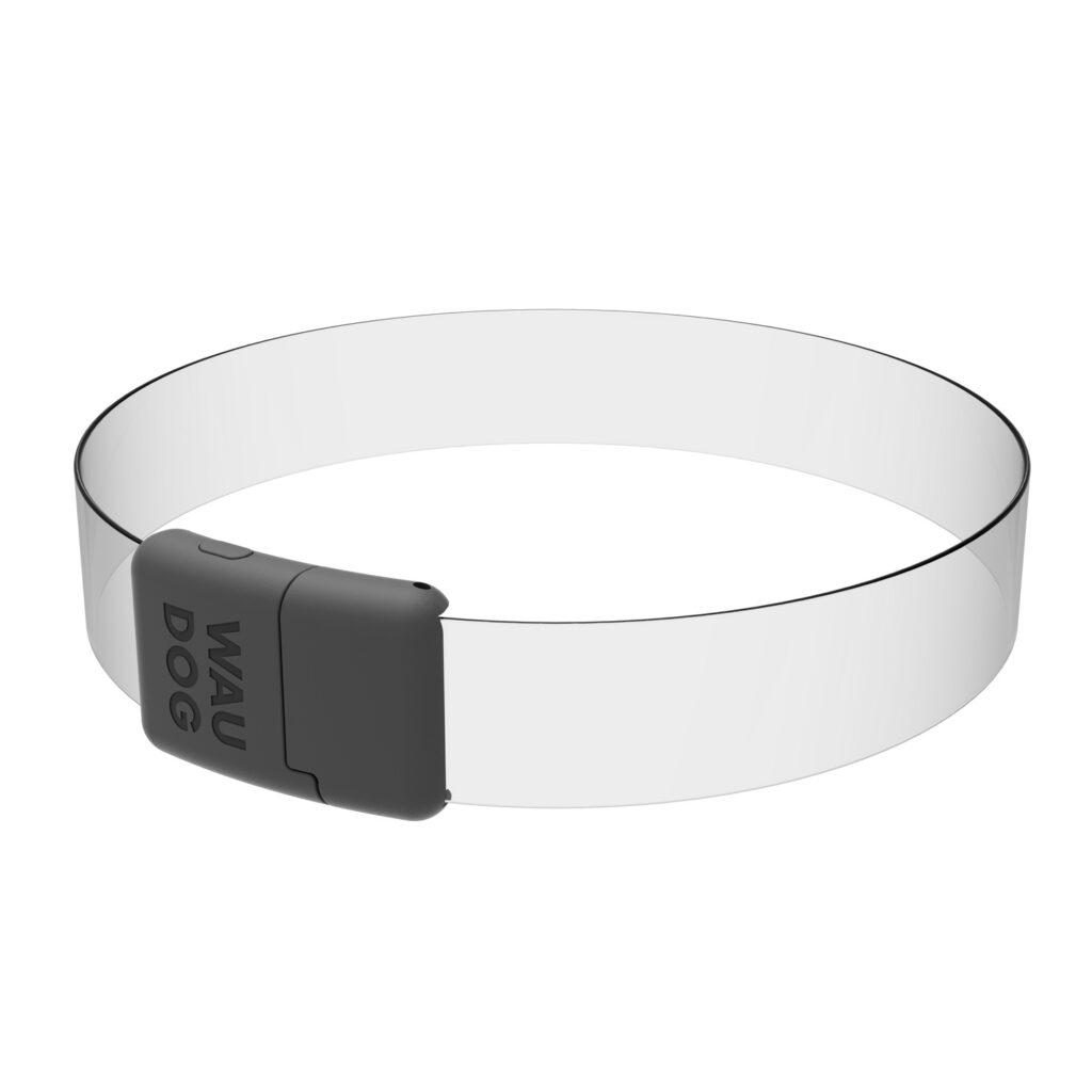 Waudog koera LED-kaelarihm