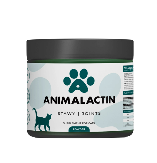ANIMALACTIN ® toidulisand kassidele liigeste toetamiseks