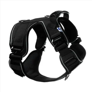 Cerberos Active Y-traksid koerale, must