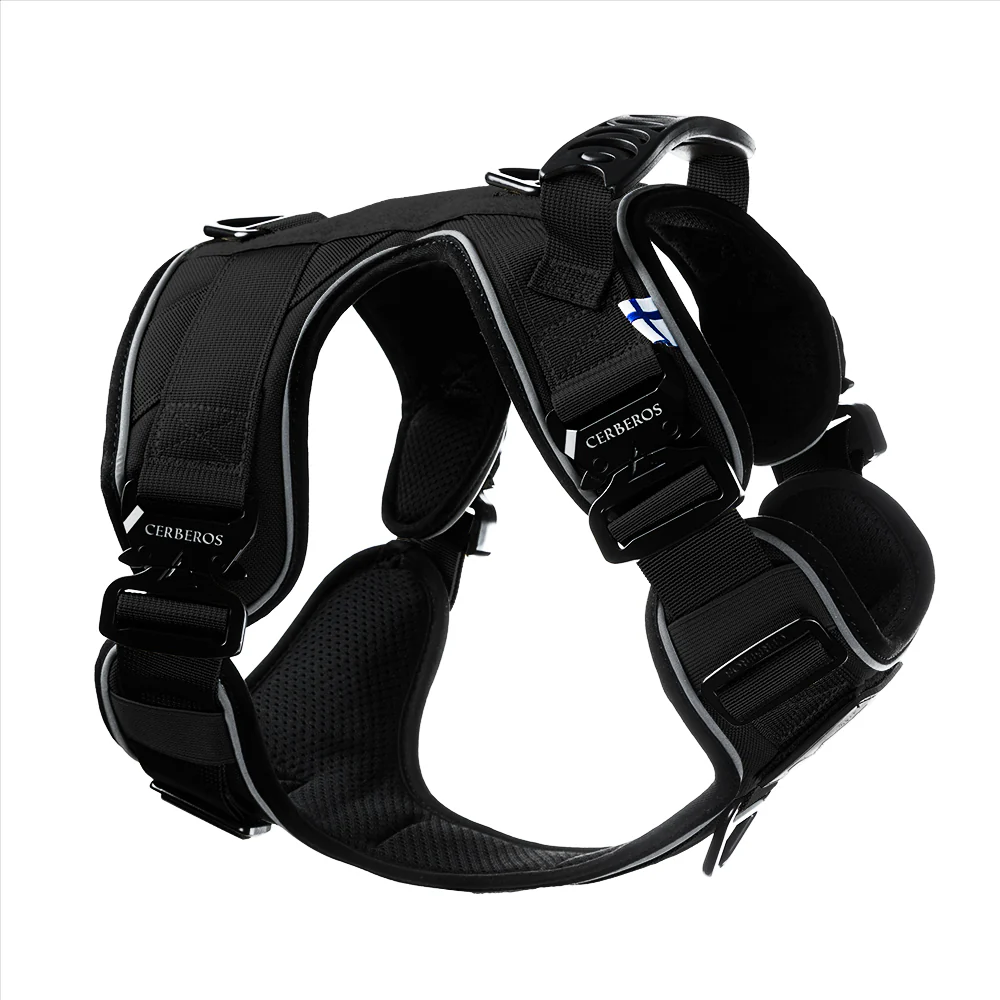 Cerberos Active Y-traksid koerale, must