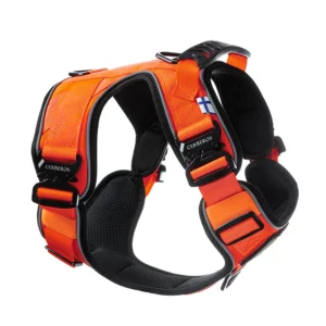 Cerberos Active Y-traksid koerale, oranž