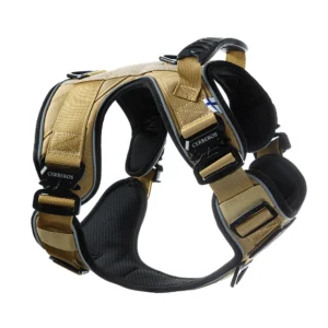 Cerberos Active Y-traksid koerale, pruun