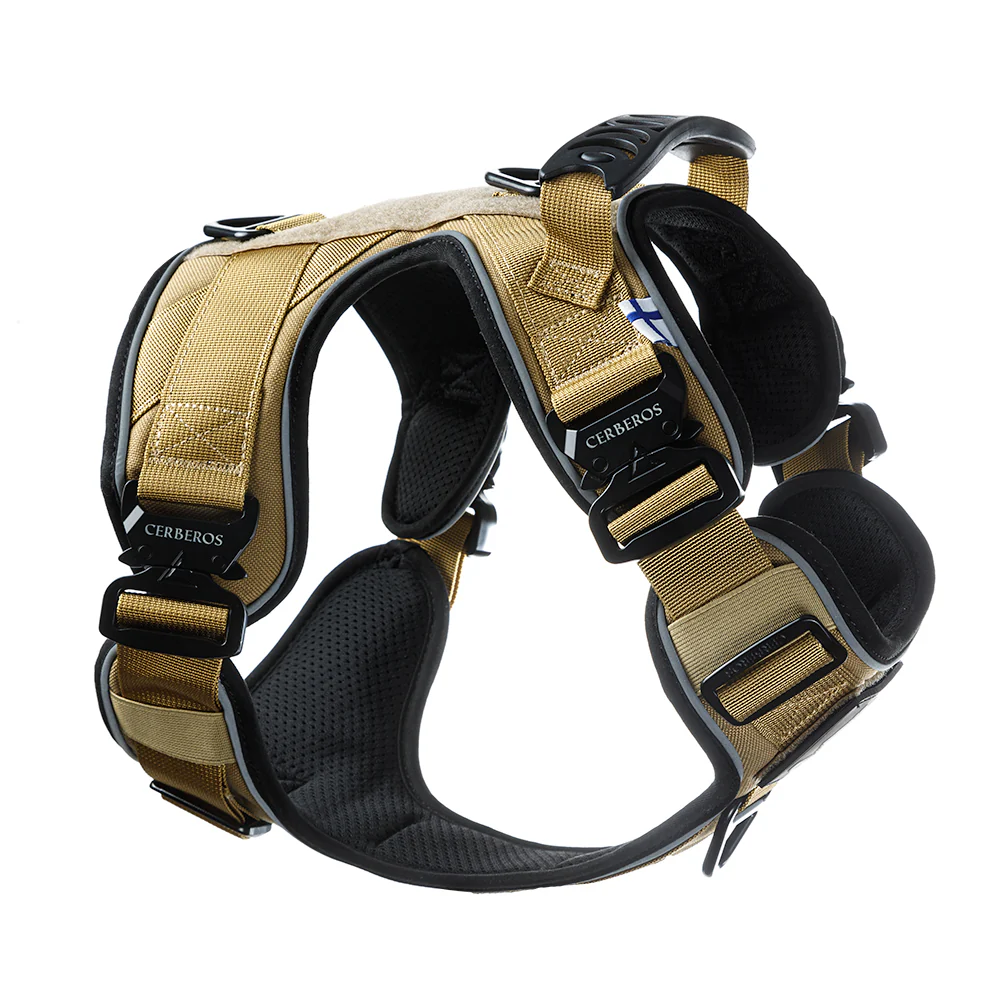 Cerberos Active Y-traksid koerale, pruun