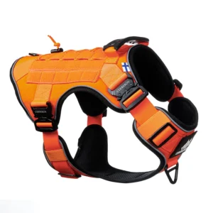 Cerberos Tactical Y-traksid koerale, oranž