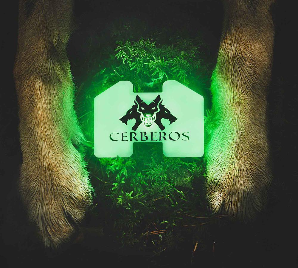 Cerberos LED-ohutustuli koerale
