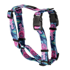 Dolina Noteci Guard Classic koeratraksid Floral Corner L