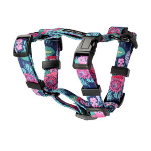 Dolina Noteci Guard Classic koeratraksid Floral Corner M