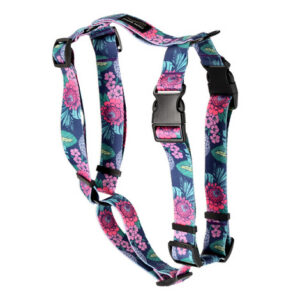 Dolina Noteci Guard Classic koeratraksid Floral Corner XL