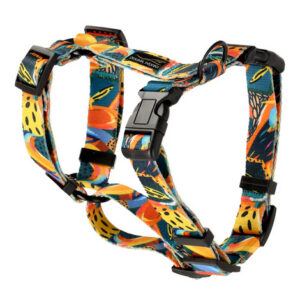 Dolina Noteci Guard Classic koeratraksid Tropical Adventure M