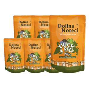 Dolina Noteci Superfood märgtoit kassile pardi ja loomalihaga 10 x 85 g