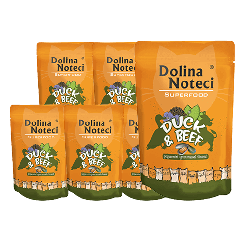 Dolina Noteci Superfood märgtoit kassile pardi ja loomalihaga 10 x 85 g