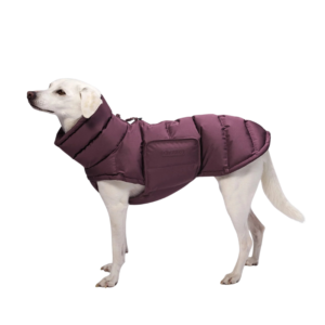 Alaska koera talvejope, Dark Aubergine
