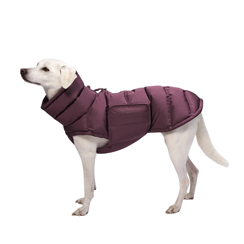 Alaska koera talvejope, Dark Aubergine