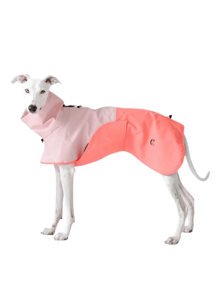 AKTIV vihmajope koerale Peach/Neon Pink