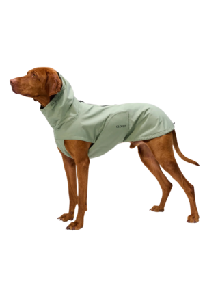 Koera vihmajope Dublin 2.0 Dusty Mint