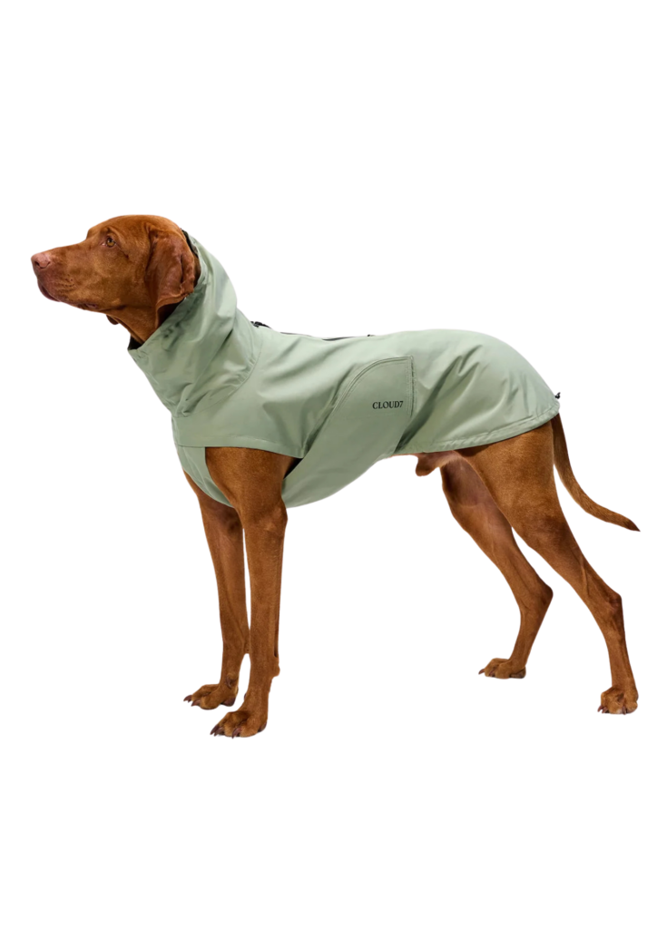 Koera vihmajope Dublin 2.0 Dusty Mint