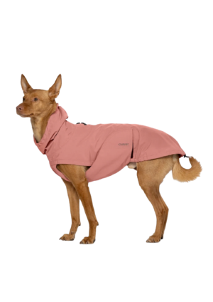 Koera vihmajope Dublin 2.0 Faded Rose