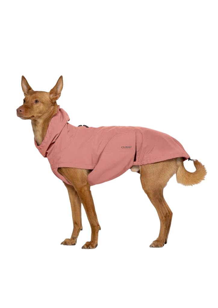Koera vihmajope Dublin 2.0 Faded Rose